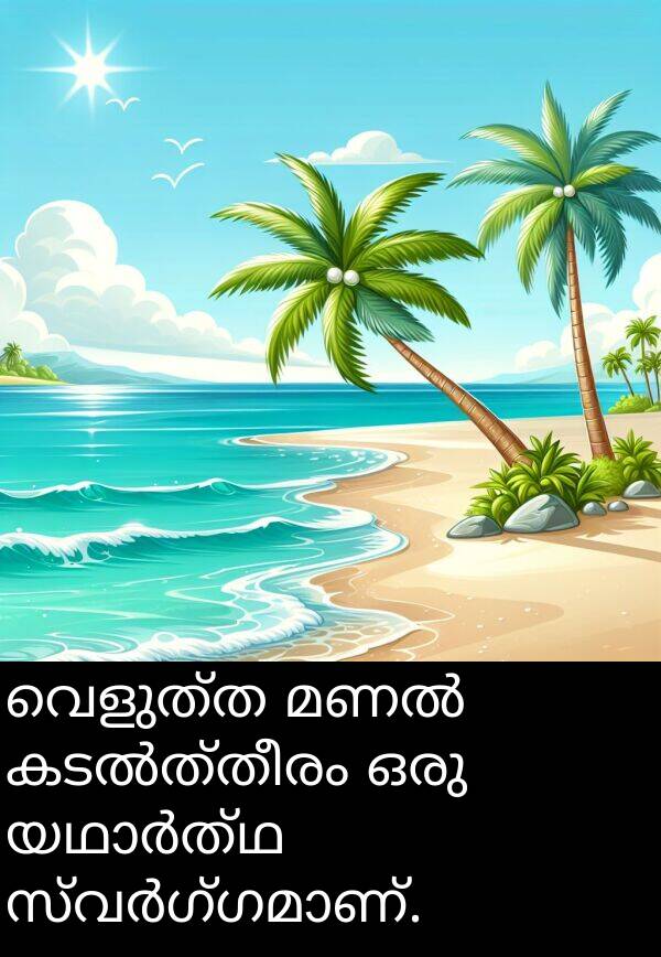 വെളുത്ത: വെളുത്ത മണൽ കടൽത്തീരം ഒരു യഥാർത്ഥ സ്വർഗ്ഗമാണ്.