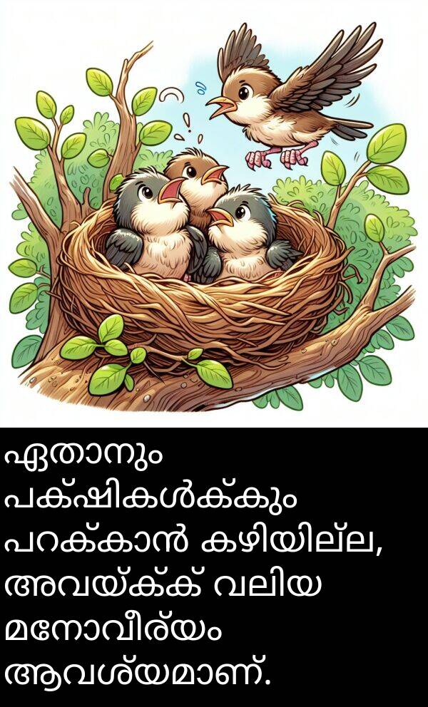 അവയ്ക്ക്: ഏതാനും പക്ഷികൾക്കും പറക്കാൻ കഴിയില്ല, അവയ്ക്ക് വലിയ മനോവീര്യം ആവശ്യമാണ്.