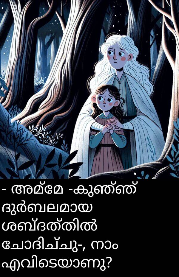 അമ്മേ: - അമ്മേ -കുഞ്ഞ് ദുർബലമായ ശബ്ദത്തിൽ ചോദിച്ചു-, നാം എവിടെയാണു?