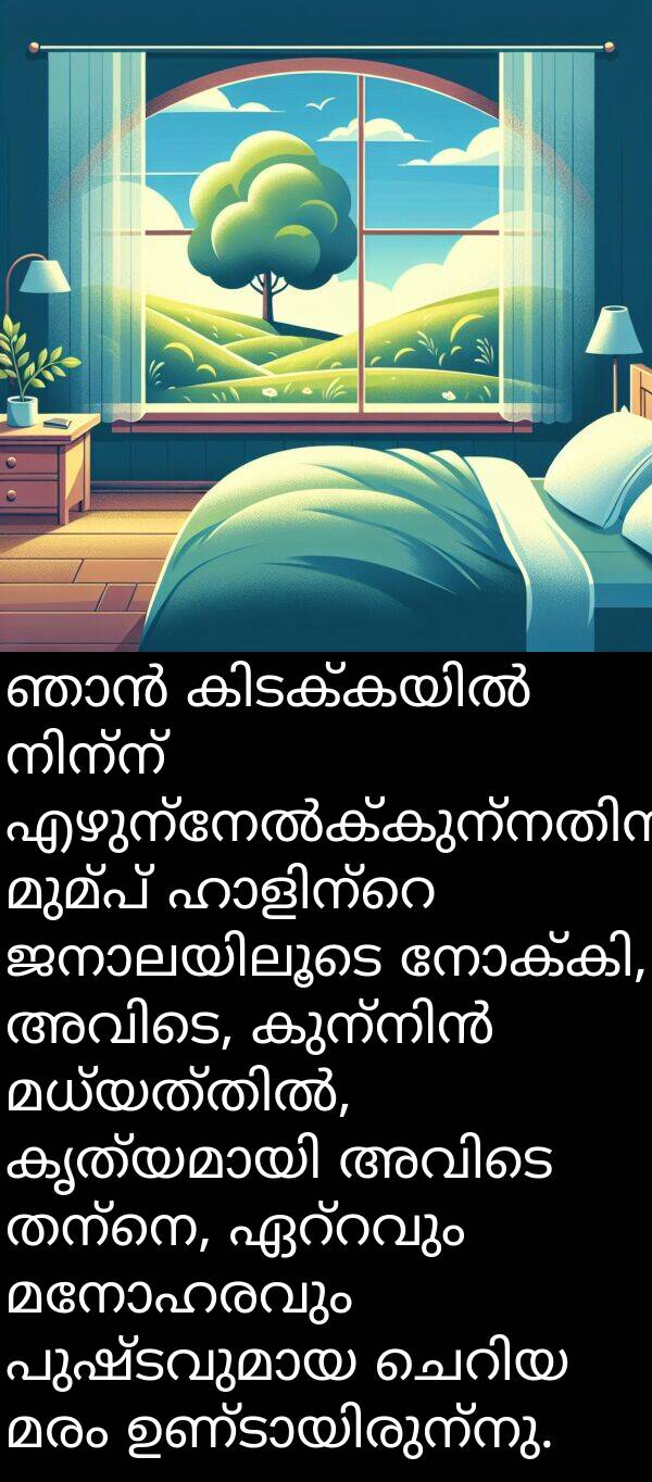 മരം: ഞാൻ കിടക്കയിൽ നിന്ന് എഴുന്നേൽക്കുന്നതിന് മുമ്പ് ഹാളിന്റെ ജനാലയിലൂടെ നോക്കി, അവിടെ, കുന്നിൻ മധ്യത്തിൽ, കൃത്യമായി അവിടെ തന്നെ, ഏറ്റവും മനോഹരവും പുഷ്ടവുമായ ചെറിയ മരം ഉണ്ടായിരുന്നു.