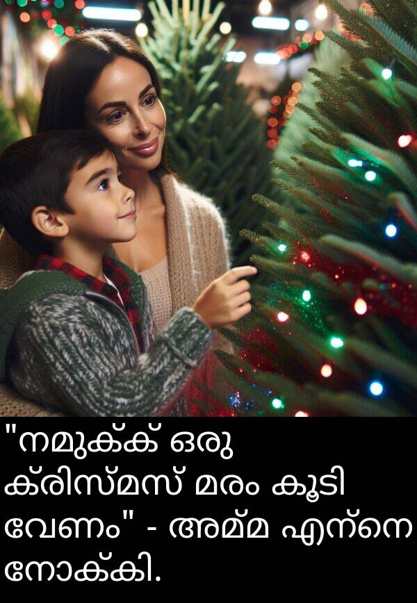 വേണം: "നമുക്ക് ഒരു ക്രിസ്മസ് മരം കൂടി വേണം" - അമ്മ എന്നെ നോക്കി.