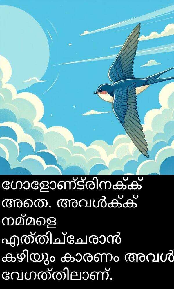 നമ്മളെ: ഗോളോണ്ട്രിനക്ക് അതെ. അവൾക്ക് നമ്മളെ എത്തിച്ചേരാൻ കഴിയും കാരണം അവൾ വേഗത്തിലാണ്.