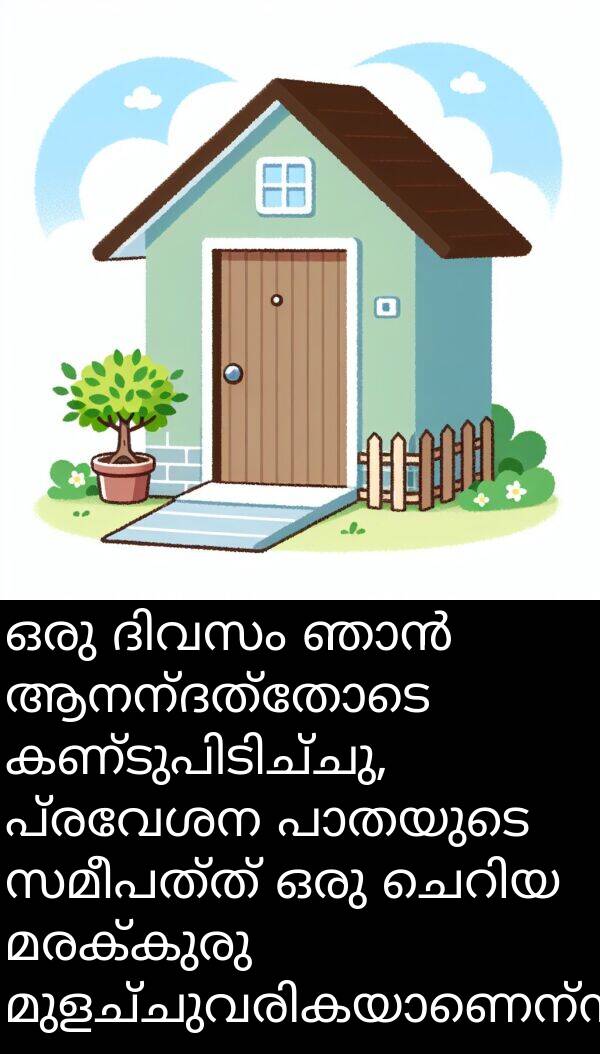 മരക്കുരു: ഒരു ദിവസം ഞാൻ ആനന്ദത്തോടെ കണ്ടുപിടിച്ചു, പ്രവേശന പാതയുടെ സമീപത്ത് ഒരു ചെറിയ മരക്കുരു മുളച്ചുവരികയാണെന്ന്.