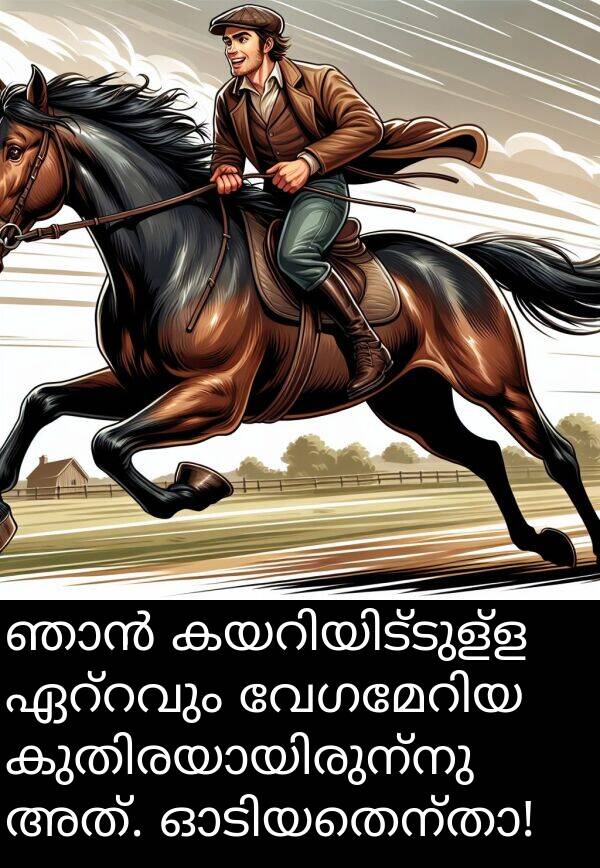 അത്: ഞാൻ കയറിയിട്ടുള്ള ഏറ്റവും വേഗമേറിയ കുതിരയായിരുന്നു അത്. ഓടിയതെന്താ!