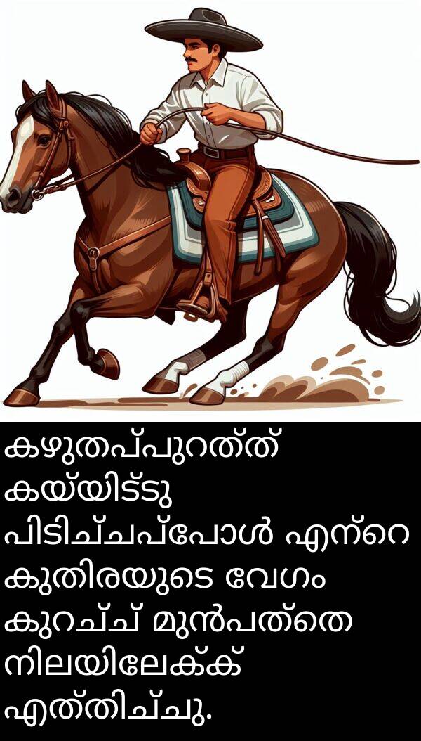 വേഗം: കഴുതപ്പുറത്ത് കയ്യിട്ടു പിടിച്ചപ്പോൾ എന്റെ കുതിരയുടെ വേഗം കുറച്ച് മുൻപത്തെ നിലയിലേക്ക് എത്തിച്ചു.