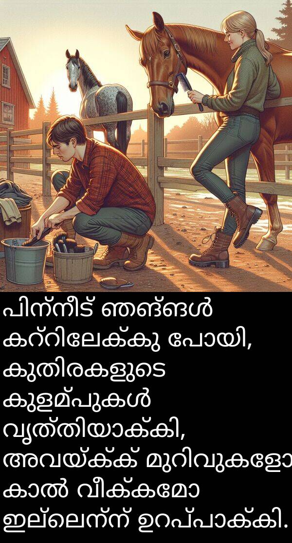 വീക്കമോ: പിന്നീട് ഞങ്ങൾ കറ്റിലേക്കു പോയി, കുതിരകളുടെ കുളമ്പുകൾ വൃത്തിയാക്കി, അവയ്ക്ക് മുറിവുകളോ കാൽ വീക്കമോ ഇല്ലെന്ന് ഉറപ്പാക്കി.