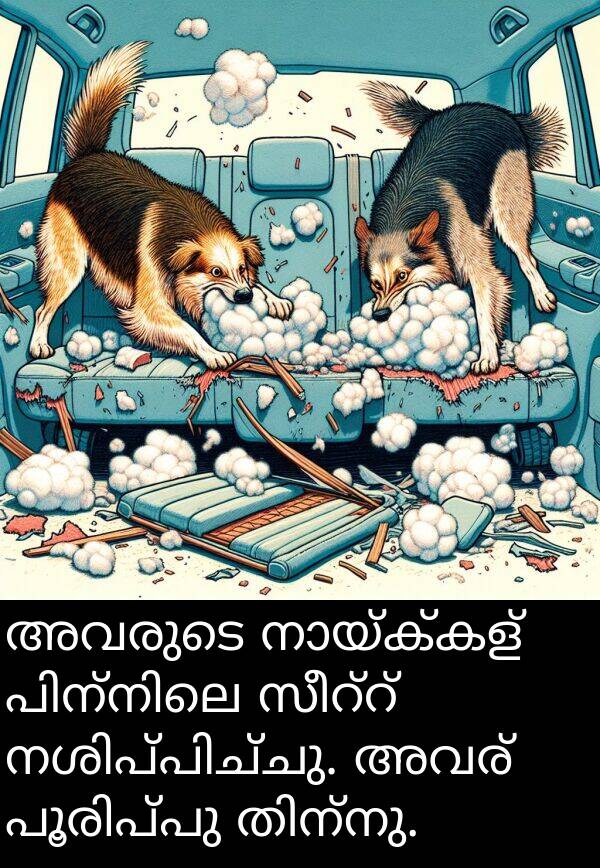 അവരുടെ: അവരുടെ നായ്ക്കള്‍ പിന്നിലെ സീറ്റ് നശിപ്പിച്ചു. അവര്‍ പൂരിപ്പു തിന്നു.