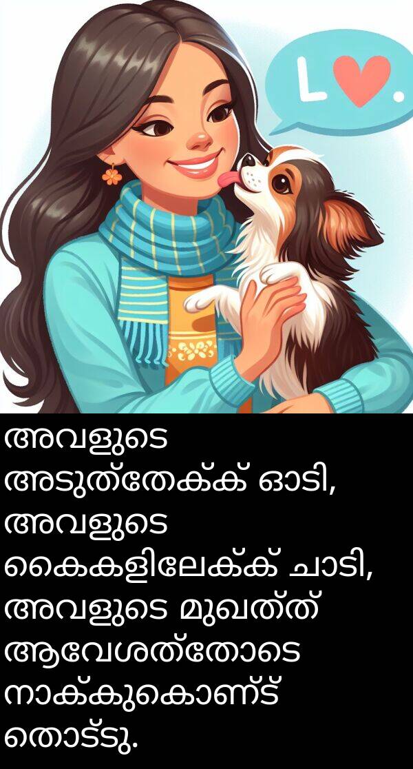മുഖത്ത്: അവളുടെ അടുത്തേക്ക് ഓടി, അവളുടെ കൈകളിലേക്ക് ചാടി, അവളുടെ മുഖത്ത് ആവേശത്തോടെ നാക്കുകൊണ്ട് തൊട്ടു.