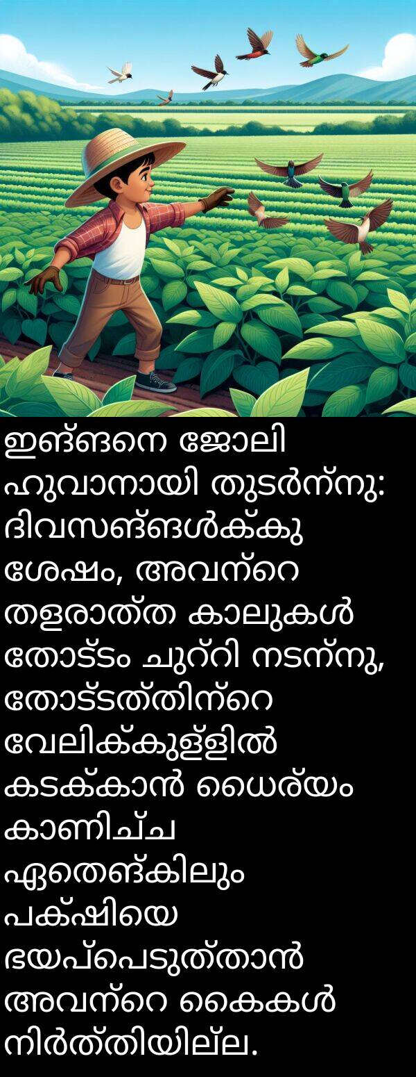 നടന്നു: ഇങ്ങനെ ജോലി ഹുവാനായി തുടർന്നു: ദിവസങ്ങൾക്കു ശേഷം, അവന്റെ തളരാത്ത കാലുകൾ തോട്ടം ചുറ്റി നടന്നു, തോട്ടത്തിന്റെ വേലിക്കുള്ളിൽ കടക്കാൻ ധൈര്യം കാണിച്ച ഏതെങ്കിലും പക്ഷിയെ ഭയപ്പെടുത്താൻ അവന്റെ കൈകൾ നിർത്തിയില്ല.