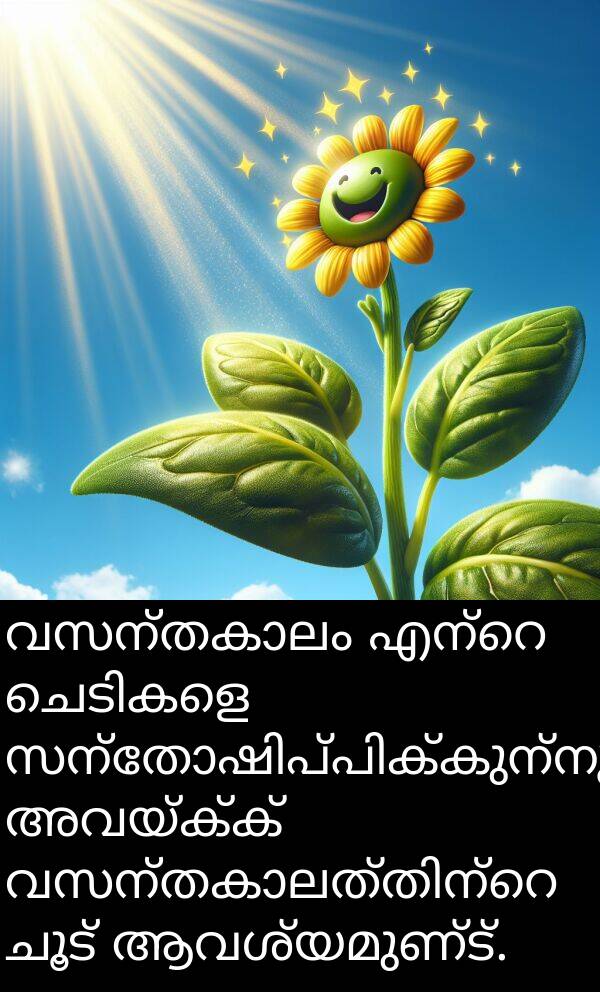 ചൂട്: വസന്തകാലം എന്റെ ചെടികളെ സന്തോഷിപ്പിക്കുന്നു; അവയ്ക്ക് വസന്തകാലത്തിന്റെ ചൂട് ആവശ്യമുണ്ട്.