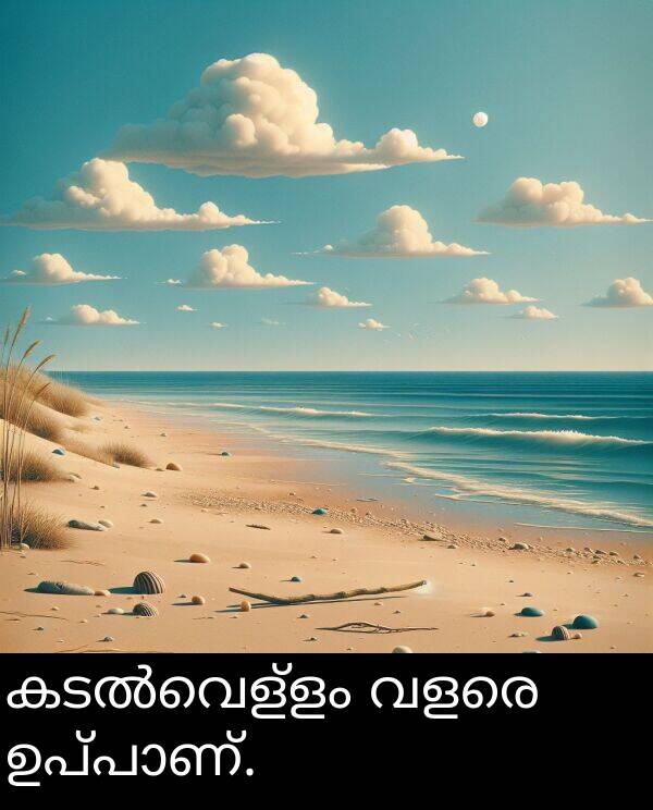 വളരെ: കടൽവെള്ളം വളരെ ഉപ്പാണ്.