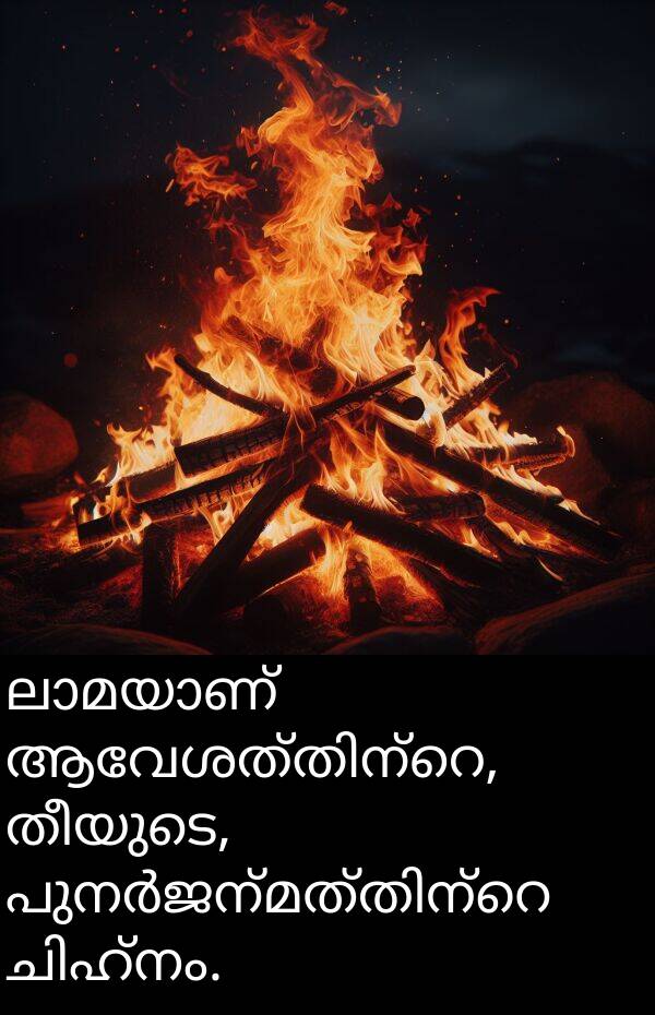 തീയുടെ: ലാമയാണ് ആവേശത്തിന്റെ, തീയുടെ, പുനർജന്മത്തിന്റെ ചിഹ്നം.