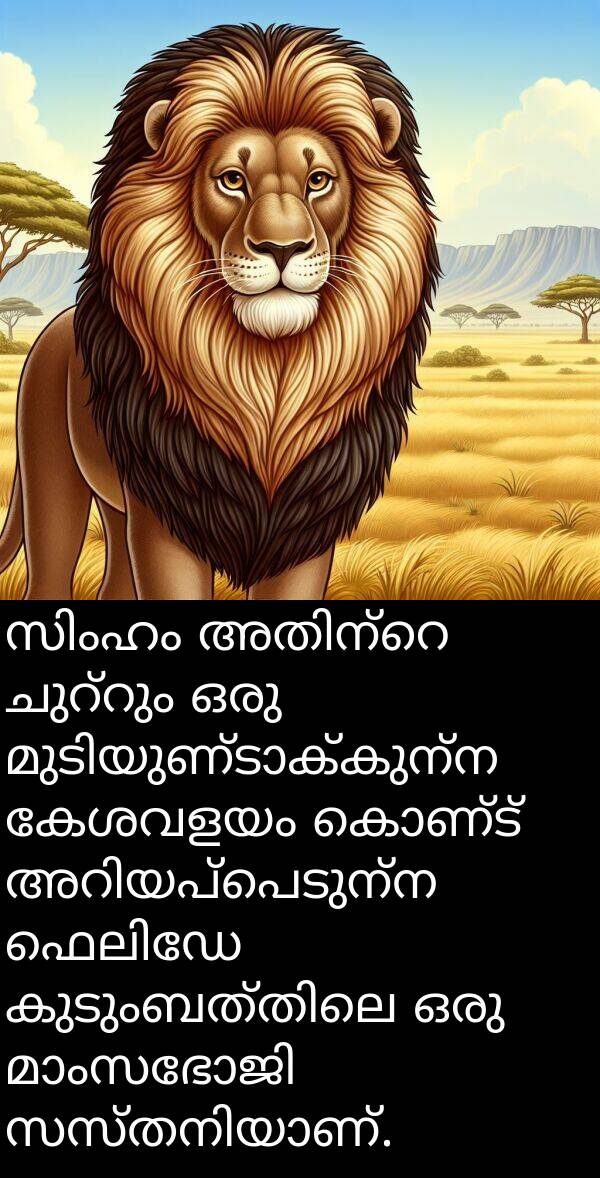 കേശവളയം: സിംഹം അതിന്റെ ചുറ്റും ഒരു മുടിയുണ്ടാക്കുന്ന കേശവളയം കൊണ്ട് അറിയപ്പെടുന്ന ഫെലിഡേ കുടുംബത്തിലെ ഒരു മാംസഭോജി സസ്തനിയാണ്.