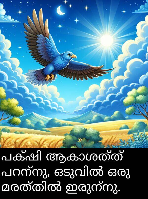 ഇരുന്നു: പക്ഷി ആകാശത്ത് പറന്നു, ഒടുവിൽ ഒരു മരത്തിൽ ഇരുന്നു.
