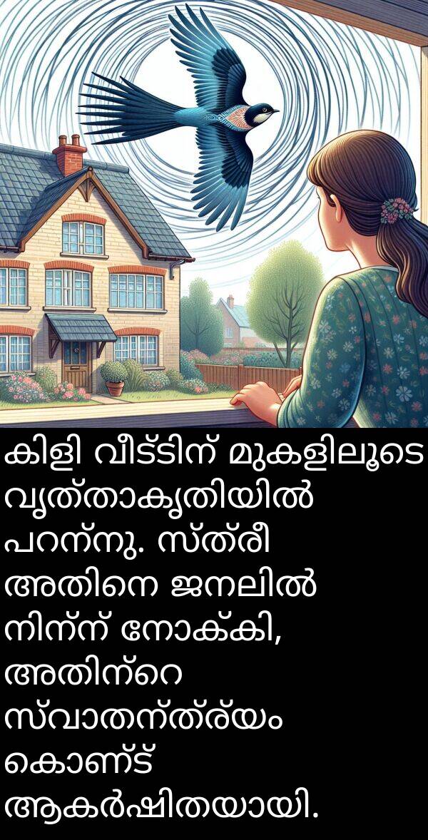 സ്ത്രീ: കിളി വീട്ടിന് മുകളിലൂടെ വൃത്താകൃതിയിൽ പറന്നു. സ്ത്രീ അതിനെ ജനലിൽ നിന്ന് നോക്കി, അതിന്റെ സ്വാതന്ത്ര്യം കൊണ്ട് ആകർഷിതയായി.