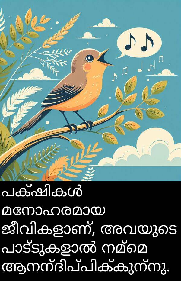 നമ്മെ: പക്ഷികൾ മനോഹരമായ ജീവികളാണ്, അവയുടെ പാട്ടുകളാൽ നമ്മെ ആനന്ദിപ്പിക്കുന്നു.