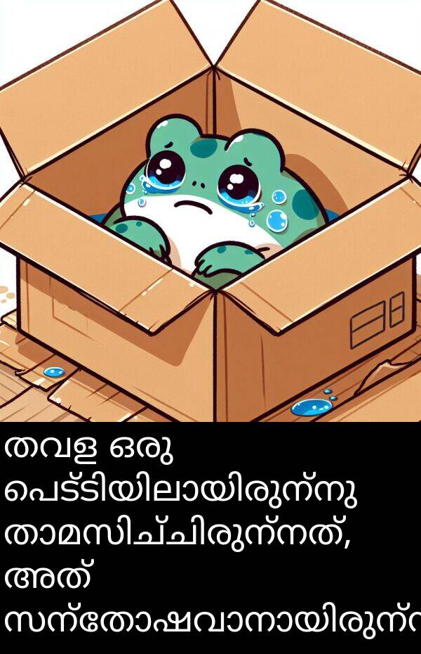 തവള: തവള ഒരു പെട്ടിയിലായിരുന്നു താമസിച്ചിരുന്നത്, അത് സന്തോഷവാനായിരുന്നില്ല.