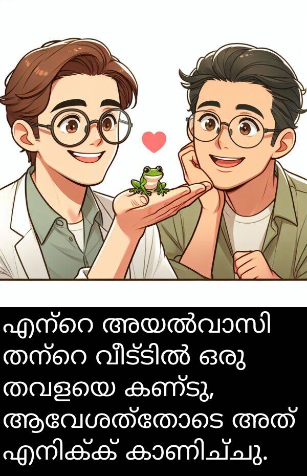 തവളയെ: എന്റെ അയൽവാസി തന്റെ വീട്ടിൽ ഒരു തവളയെ കണ്ടു, ആവേശത്തോടെ അത് എനിക്ക് കാണിച്ചു.