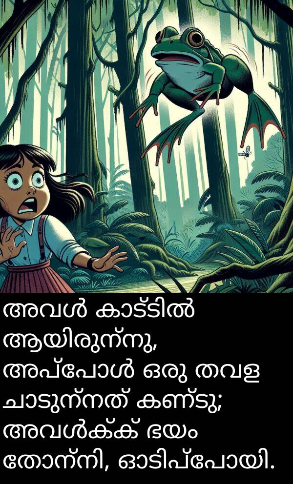 തവള: അവൾ കാട്ടിൽ ആയിരുന്നു, അപ്പോൾ ഒരു തവള ചാടുന്നത് കണ്ടു; അവൾക്ക് ഭയം തോന്നി, ഓടിപ്പോയി.