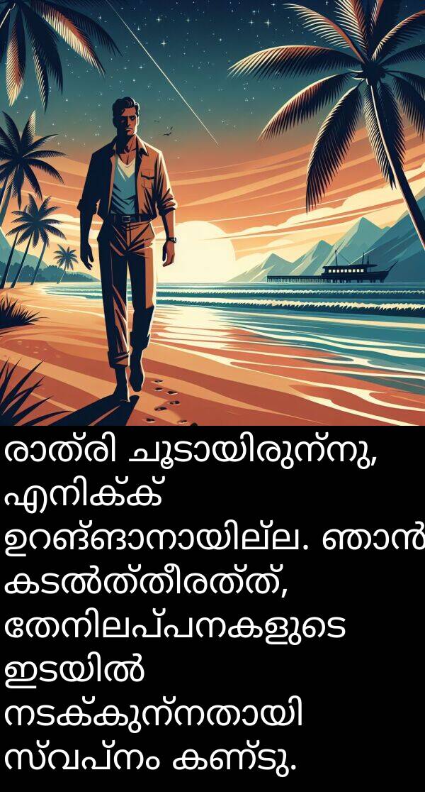 സ്വപ്നം: രാത്രി ചൂടായിരുന്നു, എനിക്ക് ഉറങ്ങാനായില്ല. ഞാൻ കടൽത്തീരത്ത്, തേനിലപ്പനകളുടെ ഇടയിൽ നടക്കുന്നതായി സ്വപ്നം കണ്ടു.