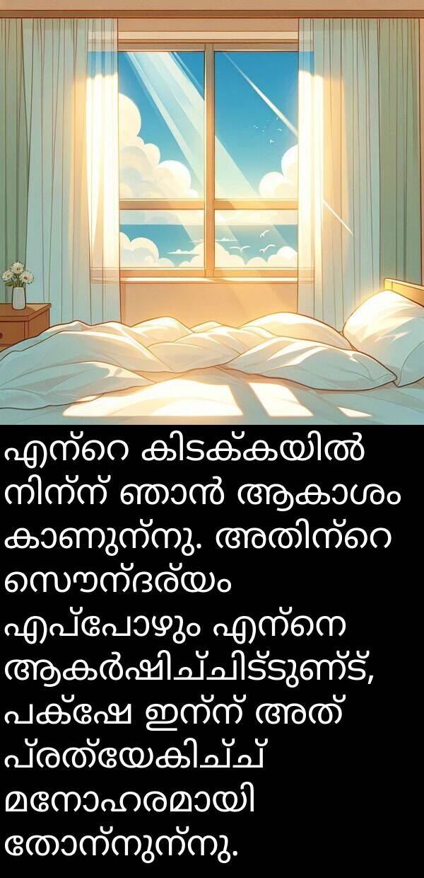 സൌന്ദര്യം: എന്റെ കിടക്കയിൽ നിന്ന് ഞാൻ ആകാശം കാണുന്നു. അതിന്റെ സൌന്ദര്യം എപ്പോഴും എന്നെ ആകർഷിച്ചിട്ടുണ്ട്, പക്ഷേ ഇന്ന് അത് പ്രത്യേകിച്ച് മനോഹരമായി തോന്നുന്നു.