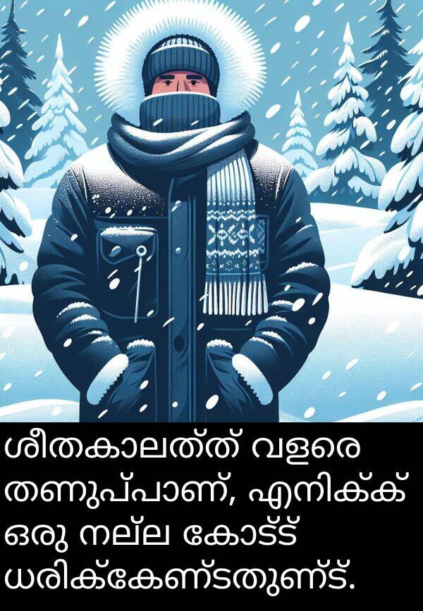 കോട്ട്: ശീതകാലത്ത് വളരെ തണുപ്പാണ്, എനിക്ക് ഒരു നല്ല കോട്ട് ധരിക്കേണ്ടതുണ്ട്.
