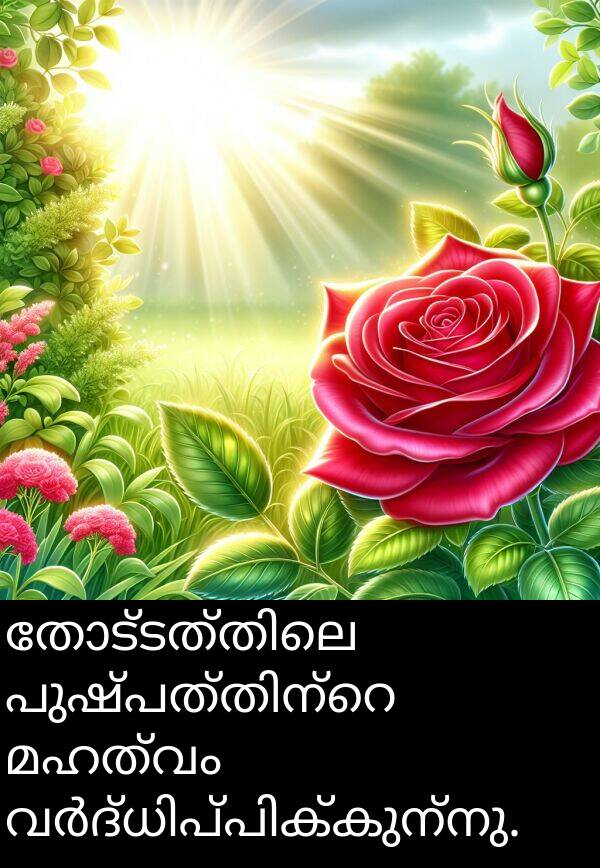 മഹത്വം: തോട്ടത്തിലെ പുഷ്പത്തിന്റെ മഹത്വം വർദ്ധിപ്പിക്കുന്നു.