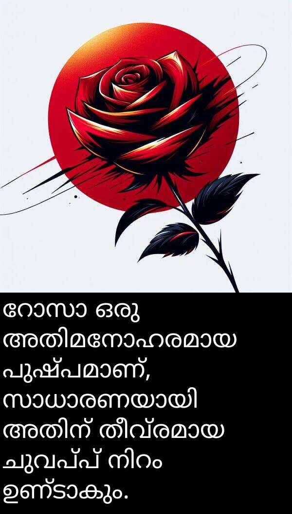 ചുവപ്പ്: റോസാ ഒരു അതിമനോഹരമായ പുഷ്പമാണ്, സാധാരണയായി അതിന് തീവ്രമായ ചുവപ്പ് നിറം ഉണ്ടാകും.