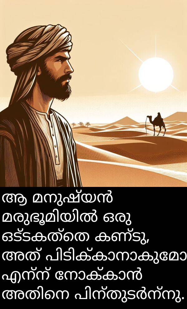 ഒട്ടകത്തെ: ആ മനുഷ്യൻ മരുഭൂമിയിൽ ഒരു ഒട്ടകത്തെ കണ്ടു, അത് പിടിക്കാനാകുമോ എന്ന് നോക്കാൻ അതിനെ പിന്തുടർന്നു.