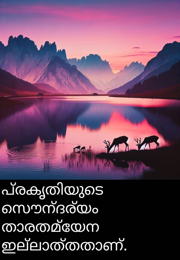 സൌന്ദര്യം: പ്രകൃതിയുടെ സൌന്ദര്യം താരതമ്യേന ഇല്ലാത്തതാണ്.