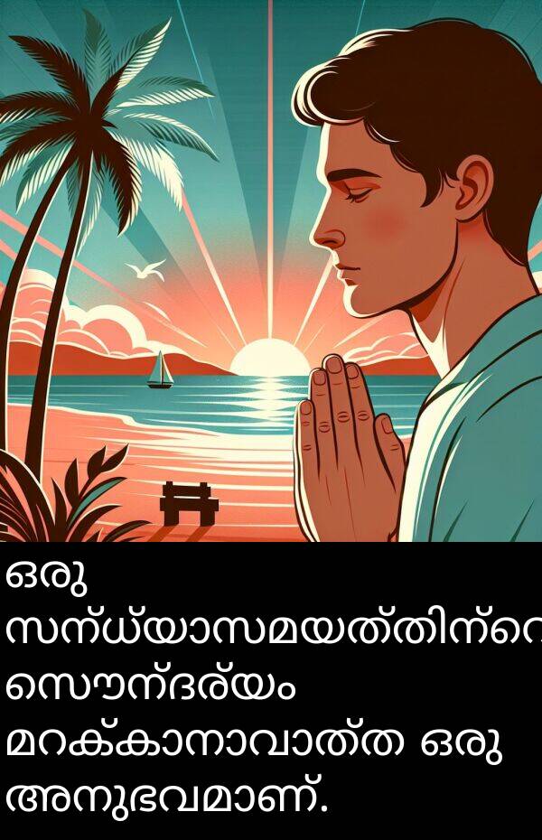 സൌന്ദര്യം: ഒരു സന്ധ്യാസമയത്തിന്റെ സൌന്ദര്യം മറക്കാനാവാത്ത ഒരു അനുഭവമാണ്.