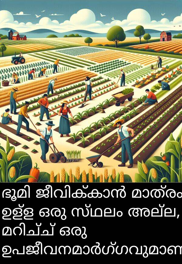 അല്ല: ഭൂമി ജീവിക്കാൻ മാത്രം ഉള്ള ഒരു സ്ഥലം അല്ല, മറിച്ച് ഒരു ഉപജീവനമാർഗ്ഗവുമാണ്.
