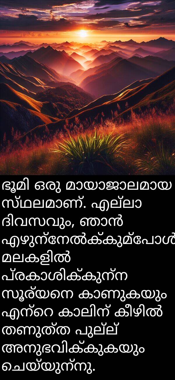 ചെയ്യുന്നു: ഭൂമി ഒരു മായാജാലമായ സ്ഥലമാണ്. എല്ലാ ദിവസവും, ഞാൻ എഴുന്നേൽക്കുമ്പോൾ, മലകളിൽ പ്രകാശിക്കുന്ന സൂര്യനെ കാണുകയും എന്റെ കാലിന് കീഴിൽ തണുത്ത പുല്ല് അനുഭവിക്കുകയും ചെയ്യുന്നു.