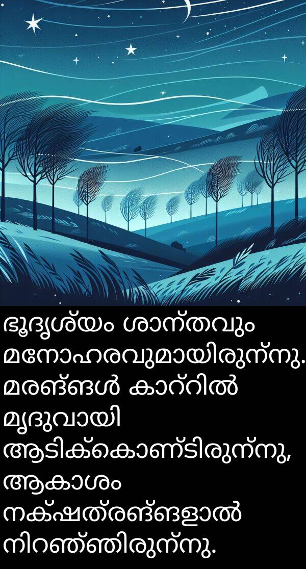 ഭൂദൃശ്യം: ഭൂദൃശ്യം ശാന്തവും മനോഹരവുമായിരുന്നു. മരങ്ങൾ കാറ്റിൽ മൃദുവായി ആടിക്കൊണ്ടിരുന്നു, ആകാശം നക്ഷത്രങ്ങളാൽ നിറഞ്ഞിരുന്നു.
