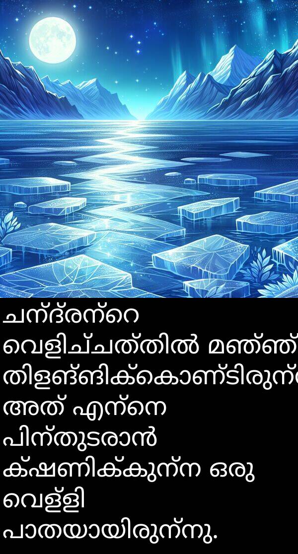 മഞ്ഞ്: ചന്ദ്രന്റെ വെളിച്ചത്തിൽ മഞ്ഞ് തിളങ്ങിക്കൊണ്ടിരുന്നു. അത് എന്നെ പിന്തുടരാൻ ക്ഷണിക്കുന്ന ഒരു വെള്ളി പാതയായിരുന്നു.