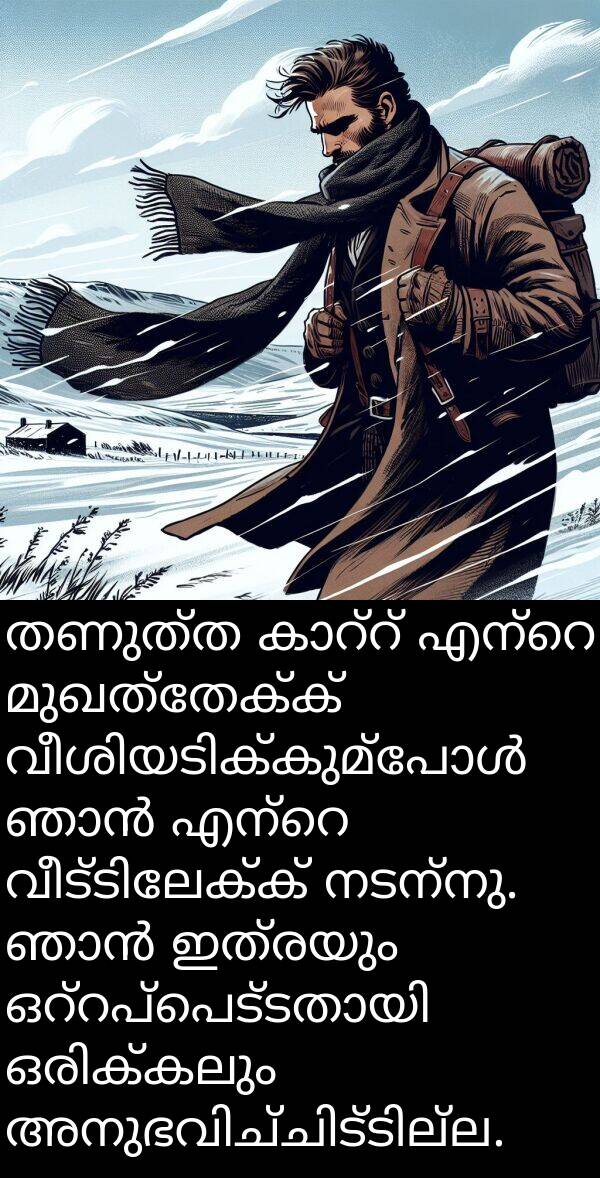 നടന്നു: തണുത്ത കാറ്റ് എന്റെ മുഖത്തേക്ക് വീശിയടിക്കുമ്പോൾ ഞാൻ എന്റെ വീട്ടിലേക്ക് നടന്നു. ഞാൻ ഇത്രയും ഒറ്റപ്പെട്ടതായി ഒരിക്കലും അനുഭവിച്ചിട്ടില്ല.