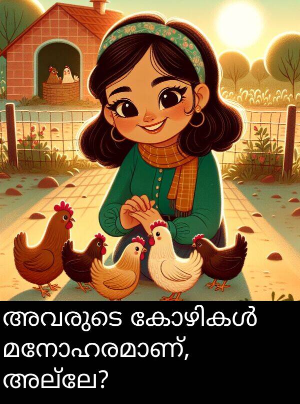 അല്ലേ: അവരുടെ കോഴികൾ മനോഹരമാണ്, അല്ലേ?