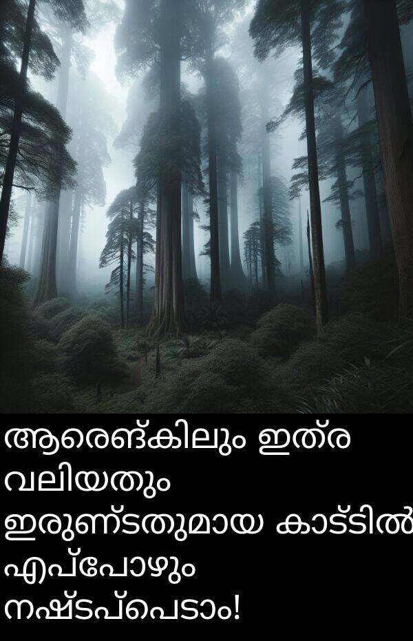 എപ്പോഴും: ആരെങ്കിലും ഇത്ര വലിയതും ഇരുണ്ടതുമായ കാട്ടിൽ എപ്പോഴും നഷ്ടപ്പെടാം!