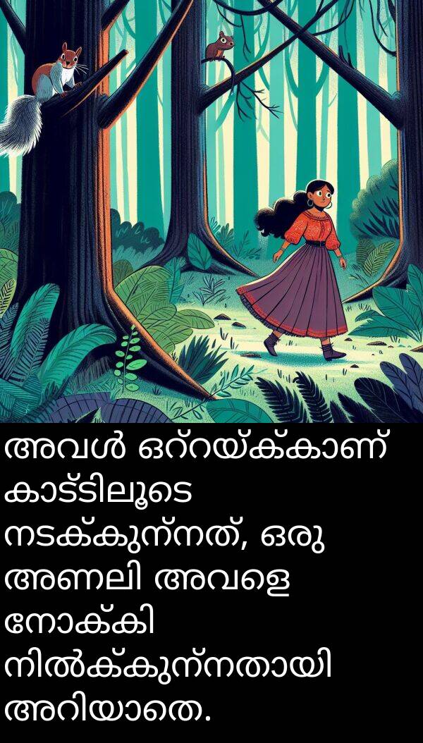നടക്കുന്നത്: അവൾ ഒറ്റയ്ക്കാണ് കാട്ടിലൂടെ നടക്കുന്നത്, ഒരു അണലി അവളെ നോക്കി നിൽക്കുന്നതായി അറിയാതെ.