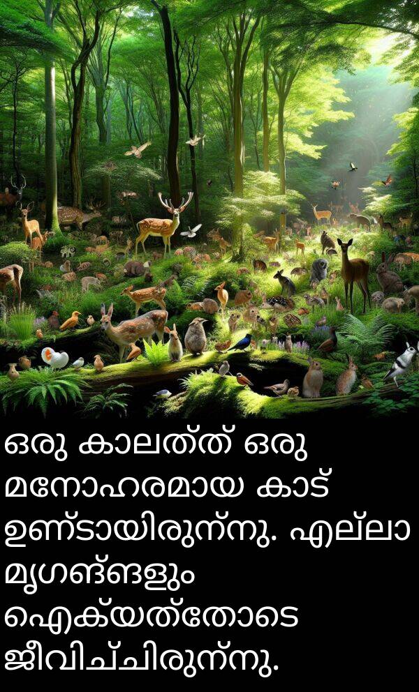 ഐക്യത്തോടെ: ഒരു കാലത്ത് ഒരു മനോഹരമായ കാട് ഉണ്ടായിരുന്നു. എല്ലാ മൃഗങ്ങളും ഐക്യത്തോടെ ജീവിച്ചിരുന്നു.