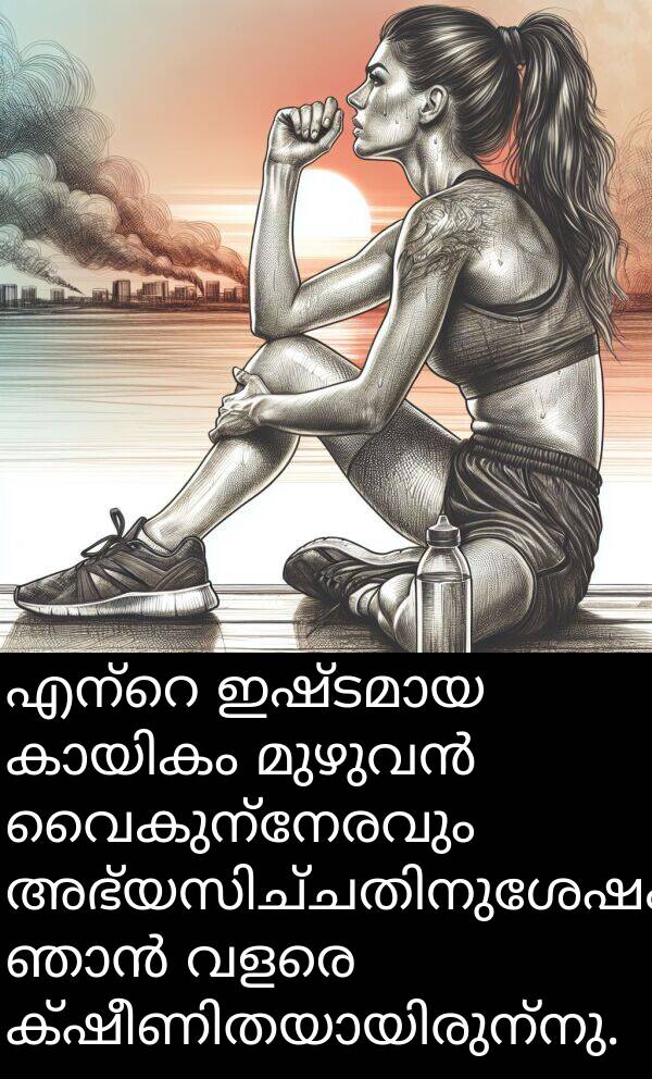 വൈകുന്നേരവും: എന്റെ ഇഷ്ടമായ കായികം മുഴുവൻ വൈകുന്നേരവും അഭ്യസിച്ചതിനുശേഷം ഞാൻ വളരെ ക്ഷീണിതയായിരുന്നു.