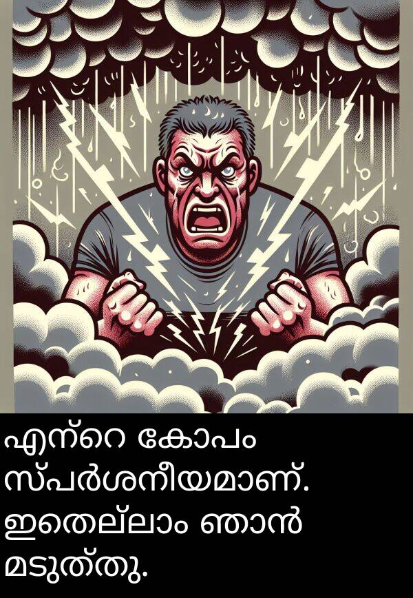 കോപം: എന്റെ കോപം സ്പർശനീയമാണ്. ഇതെല്ലാം ഞാൻ മടുത്തു.