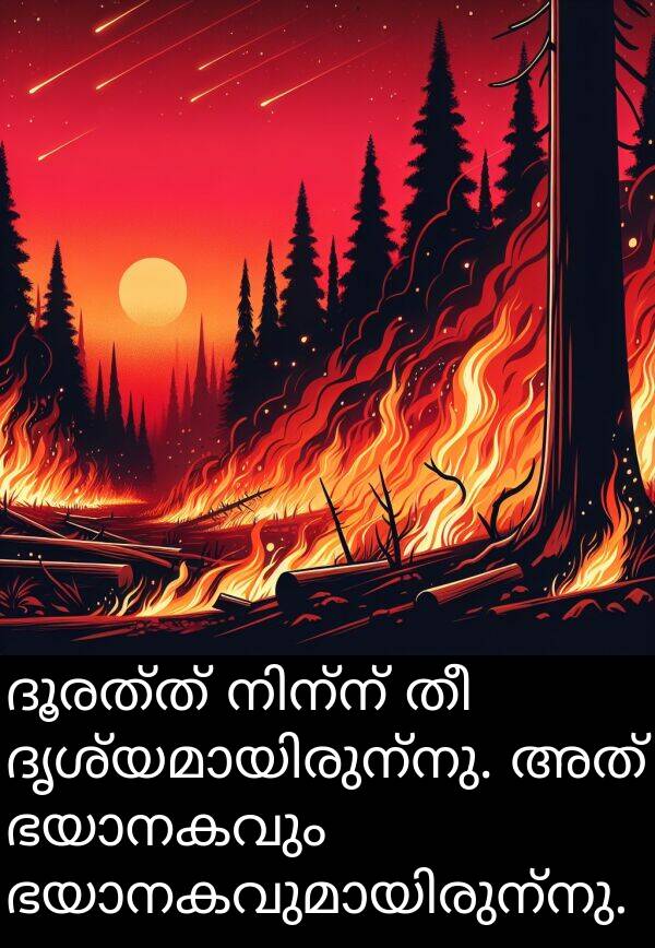 ദൂരത്ത്: ദൂരത്ത് നിന്ന് തീ ദൃശ്യമായിരുന്നു. അത് ഭയാനകവും ഭയാനകവുമായിരുന്നു.