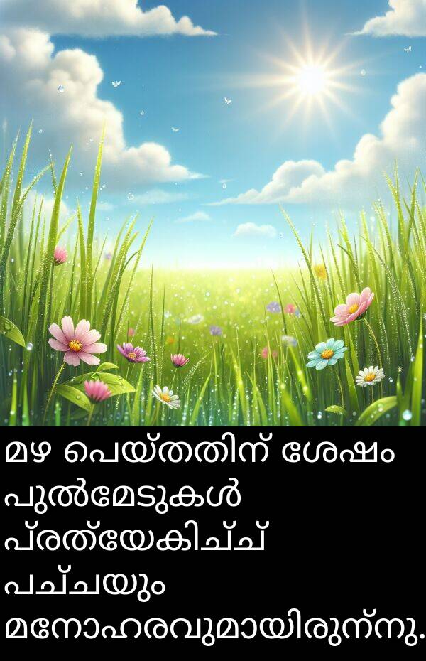 പച്ചയും: മഴ പെയ്തതിന് ശേഷം പുൽമേടുകൾ പ്രത്യേകിച്ച് പച്ചയും മനോഹരവുമായിരുന്നു.