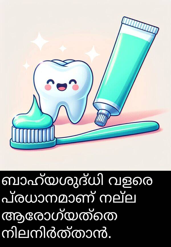 നല്ല: ബാഹ്യശുദ്ധി വളരെ പ്രധാനമാണ് നല്ല ആരോഗ്യത്തെ നിലനിർത്താൻ.