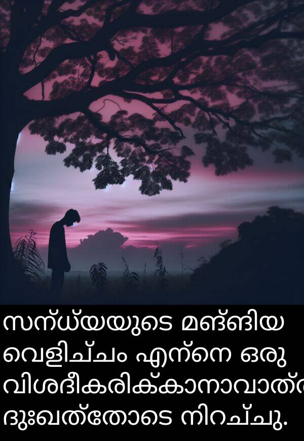 ദുഃഖത്തോടെ: സന്ധ്യയുടെ മങ്ങിയ വെളിച്ചം എന്നെ ഒരു വിശദീകരിക്കാനാവാത്ത ദുഃഖത്തോടെ നിറച്ചു.