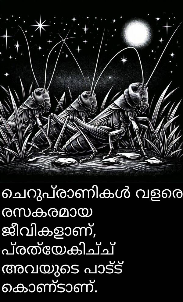 അവയുടെ: ചെറുപ്രാണികൾ വളരെ രസകരമായ ജീവികളാണ്, പ്രത്യേകിച്ച് അവയുടെ പാട്ട് കൊണ്ടാണ്.