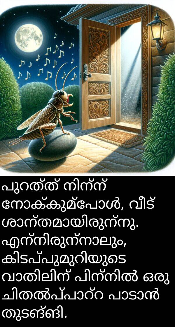 വീട്: പുറത്ത് നിന്ന് നോക്കുമ്പോൾ, വീട് ശാന്തമായിരുന്നു. എന്നിരുന്നാലും, കിടപ്പുമുറിയുടെ വാതിലിന് പിന്നിൽ ഒരു ചിതൽപ്പാറ്റ പാടാൻ തുടങ്ങി.