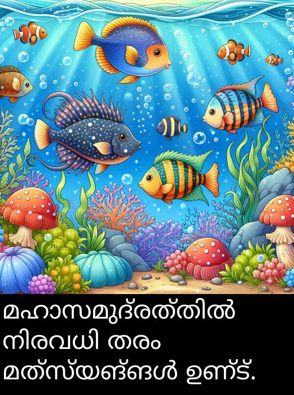 ഉണ്ട്: മഹാസമുദ്രത്തിൽ നിരവധി തരം മത്സ്യങ്ങൾ ഉണ്ട്.
