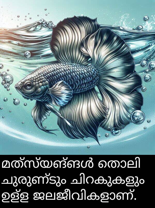ചുരുണ്ടും: മത്സ്യങ്ങൾ തൊലി ചുരുണ്ടും ചിറകുകളും ഉള്ള ജലജീവികളാണ്.